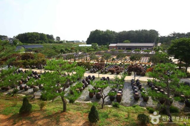 익산 가볼 만한 곳, 자연과 문화가 어우러진 여행지