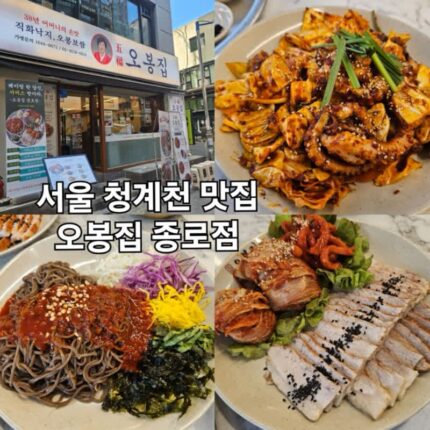 서울 청계천 맛집 오봉집 종로점 종각역 근처