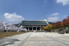 충남 가볼 만한 곳, 서해의 바람과 숲의 향기가 머무는 곳