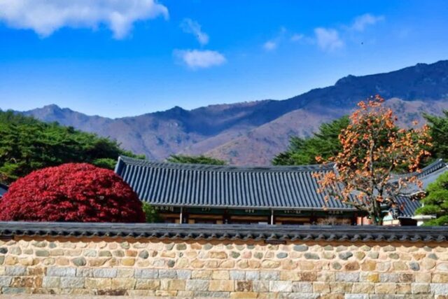 양산 가볼 만한 곳, 자연과 역사의 숨결이 깃든 풍경