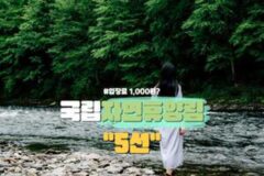 국립자연휴양림 모음집 ‘5선’ 몸과 마음이 산뜻한 힐링 산림 여행