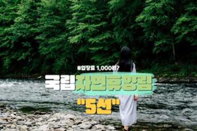 국립자연휴양림 모음집 ‘5선’ 몸과 마음이 산뜻한 힐링 산림 여행