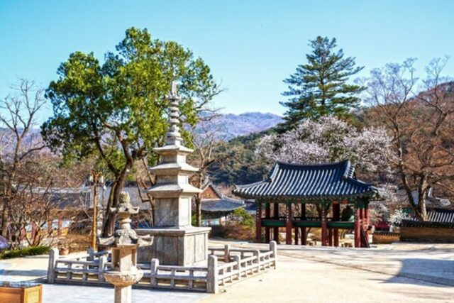김천시 가볼 만한 곳, 자연과 역사의 조화로운 만남