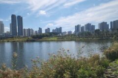 경기 화성시 가볼 만한 곳, 자연과 도심이 공존하는 명소
