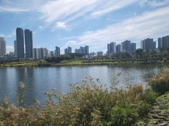 경기 화성시 가볼 만한 곳, 자연과 도심이 공존하는 명소