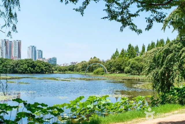 일산 가볼 만한 곳, 도심 속 여유를 찾아 떠나는 여행