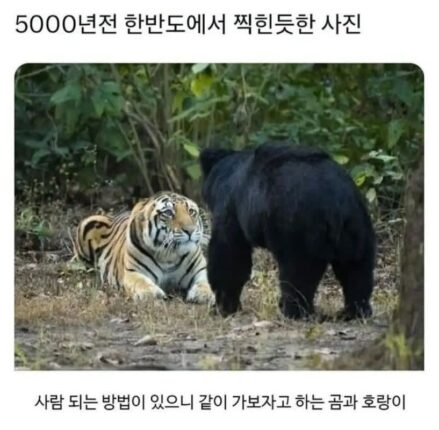 단군신화 목격담