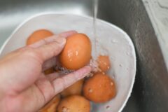 계란 절대 세척해서 보관하지 마세요! 세균이 더 잘 번식합니다
