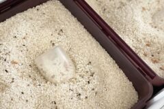 쌀 보관할 때 “이 습관”만 고치면 벌레도 안 생기고 6개월도 거뜬합니다!