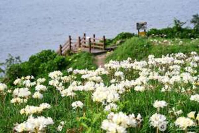 노루목 상사화길, 변산 마실길 따라 자연을 즐기는 코스 (부안 가볼 만한 곳)
