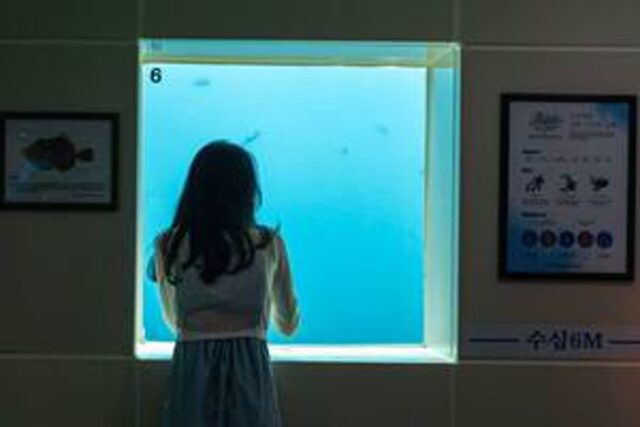 울릉도 가볼 만한 곳 5 자연 풍경 하나 만큼은 포기가 안되는 국내 여행지 추천