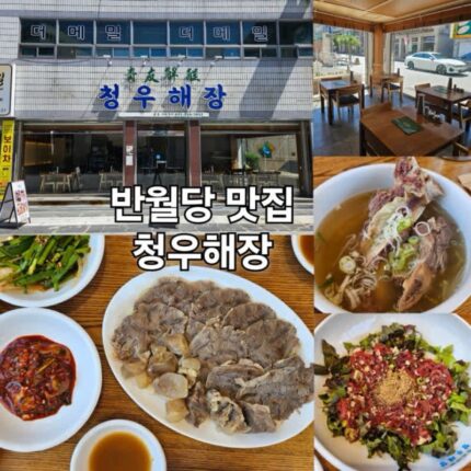 반월당 맛집 청우해장 해장국 아롱사태 수육