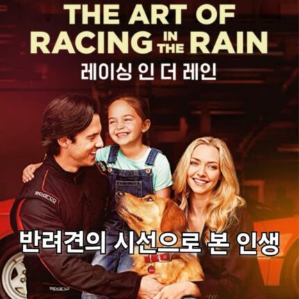 레이싱 인 더 레인 정보 관람평 반려견 감동 영화