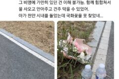 천안 전기자전거 학대로 죽은 강아지 자리에 놓인 꽃과 물