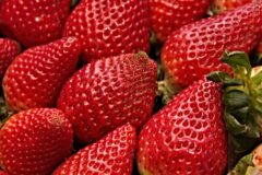”이 과일” 자주 먹으면 암 걸릴 확률 높아집니다! 조심해서 드세요