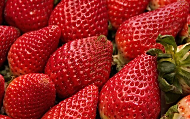 ”이 과일” 자주 먹으면 암 걸릴 확률 높아집니다! 조심해서 드세요