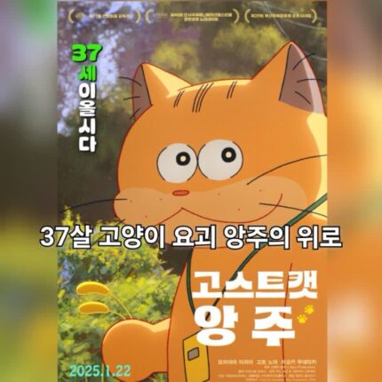 고스트캣 앙주 정보 관람평 결말 37세 요괴 고양이의 위로