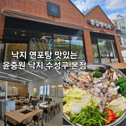 수성동 맛집 윤중원 낙지 대구 낙지 연포탕 맛있는 곳