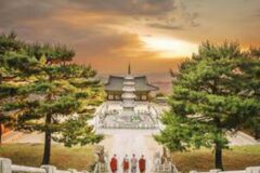 축서사 | 해발 800m, 독수리가 사는 절? 봉화 가볼 만한 곳 추천