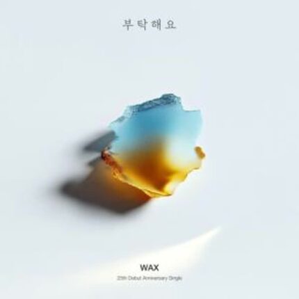 가수 왁스, 데뷔 25주년 기념 리메이크 프로젝트 [RE:WAX] 세 번째 싱글 ‘부탁해요’ 발표