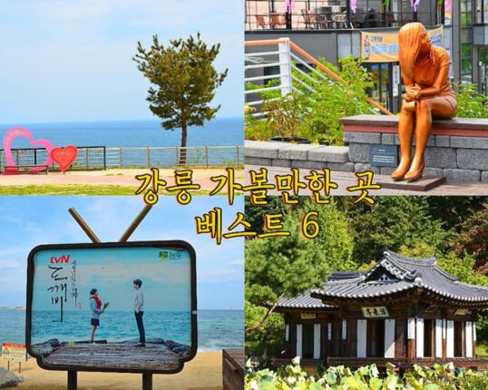 강릉 가볼만한 곳 베스트 6, 중앙광장 월화거리부터 부채바위길까지