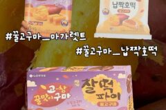 9월에 나오는 고구마맛 신상들