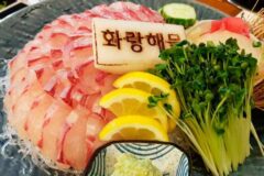 신선한 바다의 맛을 한껏 즐길 수 있는 모둠회 맛집 5곳