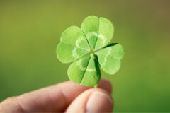 운길이 열린 사람들의 특징 3가지