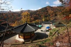 양평 가볼 만한 곳, 자연 속 여유를 만끽하는 여행