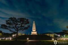 충주 가볼 만한 곳, 고요한 호수 위 문화 산책