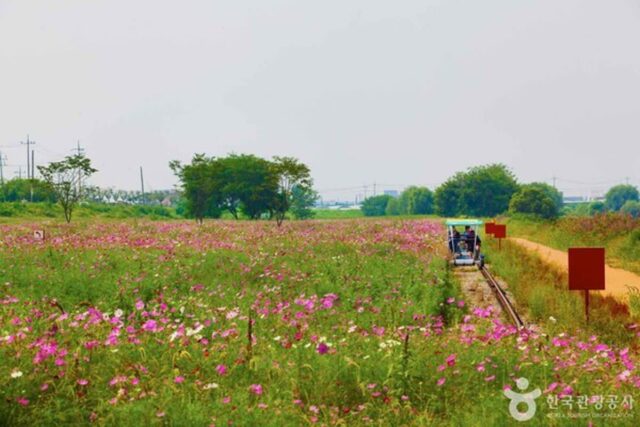 평택 가볼 만한 곳, 다채로운 경험의 장소