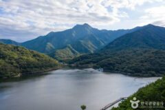 구미 가볼 만한 곳, 금오산의 풍경과 시장의 활기