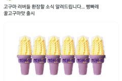고구마 러버들 환장할 소식 알려드립니다… 빵빠레 꿀고구마맛 출시