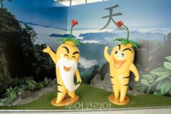 노랑풍선, 미식+여행 연계한 ‘금산 인삼벨트 미식투어’ 선봬