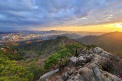 서울 관악구 가볼 만한 곳, 젊음과 미식이 어우러진 거리