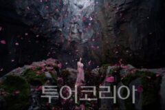 지수의 ‘Your Love’ 스페셜 비디오, ‘싱가포르의 자연 야생 생태 명소’ 매력 담아