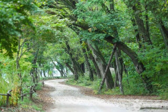 올 가을 춘천 여행은 ‘물과 숲이 자아내는 고즈넉한 분위기 속에서 미식 만끽’