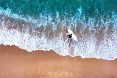 태안 가볼 만한 곳, 향긋한 허브와 바다 풍경이 어우러진 여행