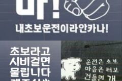 오히려 역효과라는 초보운전 스티커