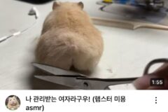 절대 지나칠 수 없는 썸네일