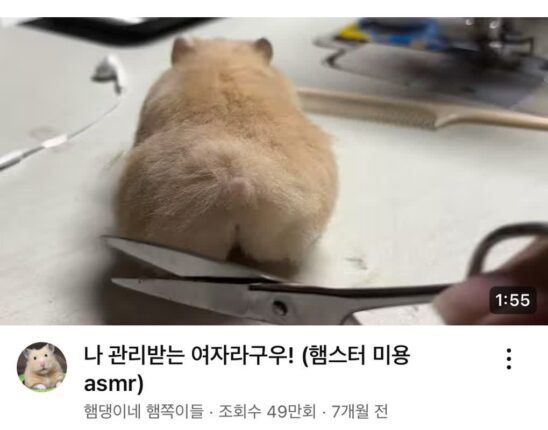 절대 지나칠 수 없는 썸네일