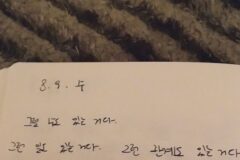 아이유나 알엠처럼 일기 쓰는 사람들 신기하다