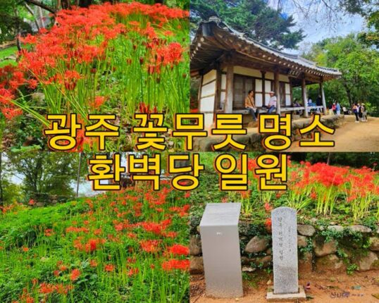전남 광주 가을 여행지 추천 꽃무릇 명소 환벽당 일원