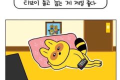 여행 좋아하다가 여행에 감흥 없어진 유형