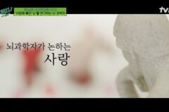 [유퀴즈] 뇌과학자가 논하는 사랑