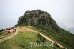 완도의 밤과 낮을 걷다!…전통시장에서 달빛 나들이 즐기고 자연에서 힐링하고!