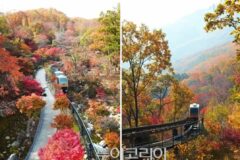 바쁜 일상 탈출, ‘쉼’이 필요할 때…화담숲·성곽 따라 걷는 ‘광주 여행’