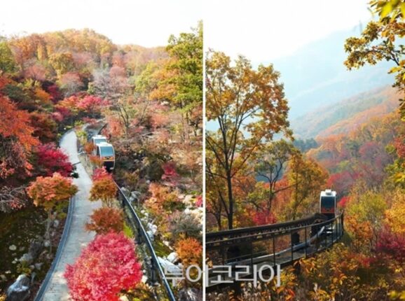바쁜 일상 탈출, ‘쉼’이 필요할 때…화담숲·성곽 따라 걷는 ‘광주 여행’