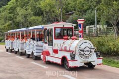 추석연휴, 영월 청령포원 숲길 달리는 ‘미니열차’ 타볼까!