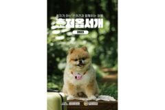 제주, 반려동물 동반 여행 안내서 ‘혼저옵서개’ 새단장